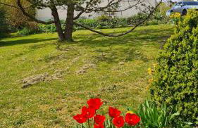 Auszeit an der Aisch - Foto 15