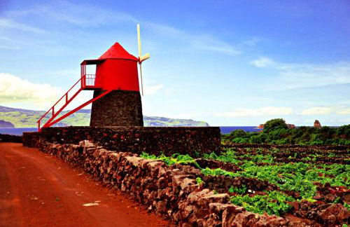 Casa do Marcelino Lagarto - Photo 53