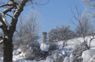 Apartment Gemütliche Ferienwohnung mit Garten by Interhome - Foto 17