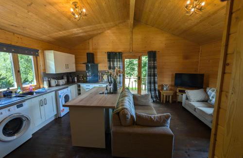 Pet Friendly - Lodge at Riverview Holiday Park - Foto 22