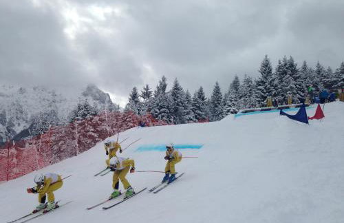 Almroeserl - Foto 45