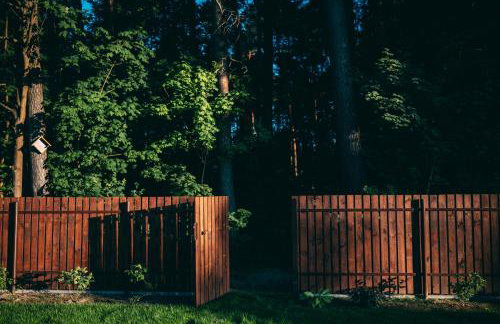 Łap Las Pelnik - Photo 71