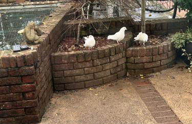 On The Common - Foto 14