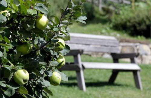 Agriturismo Montagna Verde Apella - Foto 50