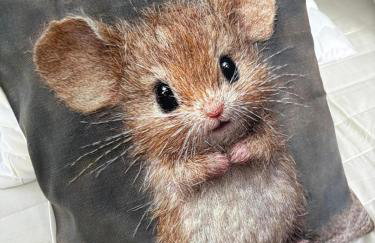 Apartament Ptyś w Centrum Rehabilitacji &spa - Foto 10