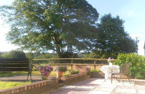 Samuel cottage - Photo 9