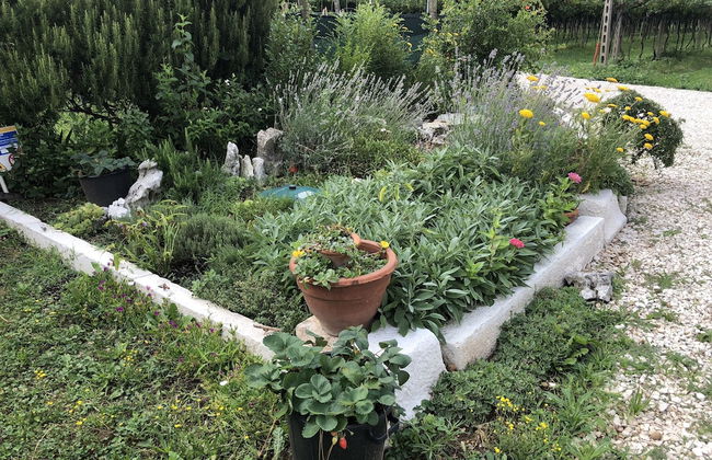 Agriturismo Tre Forti - Foto 48