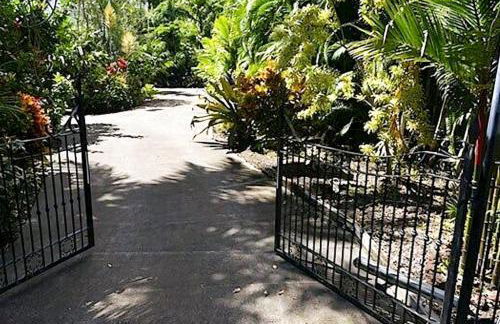 Oceanfront Treehouse at Hakalau with Kitchen - Foto 58