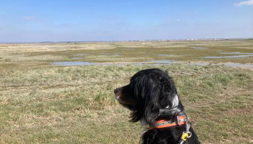 Maison Marie Port - Foto 3