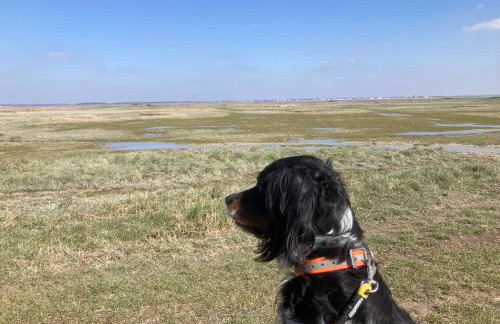 Maison Marie Port - Foto 3