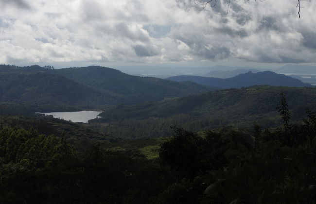 Madrugada Magic - Foto 32