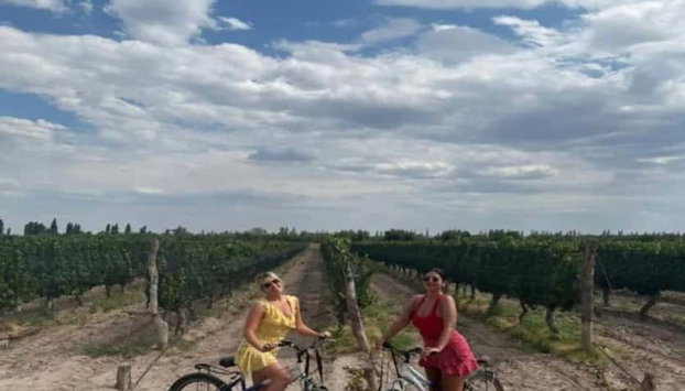 Alquiler de bicicleta en Maipú - Foto 3