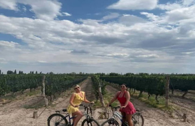 Alquiler de bicicleta en Maipú - Foto 3