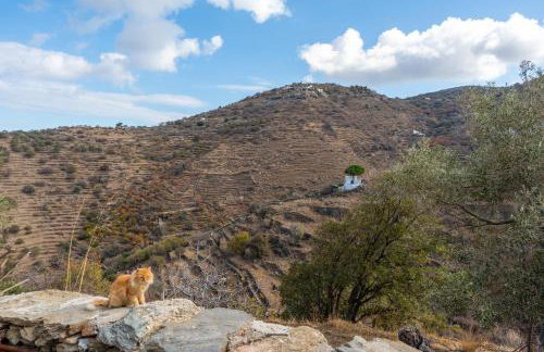 The Castle House Kea - Photo 27