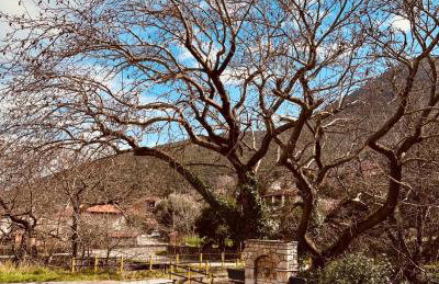 Gravia's Villa - Foto 27