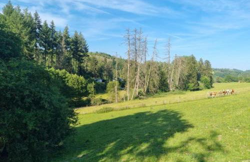 Wohnung im Sauerland mit Terrasse - Foto 31