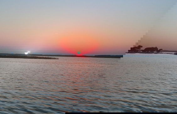 Les Calicots Sanguinet - Photo 64