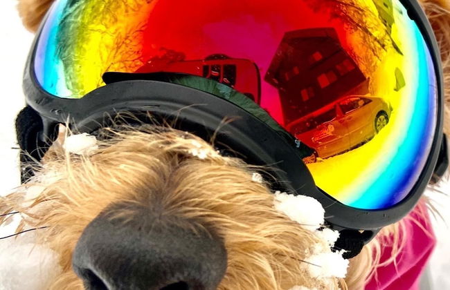 Hakuba Powder Mountain - Foto 78