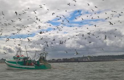 Charmante petite Villa sur Deauville Trouville-sur-Mer - Photo 40