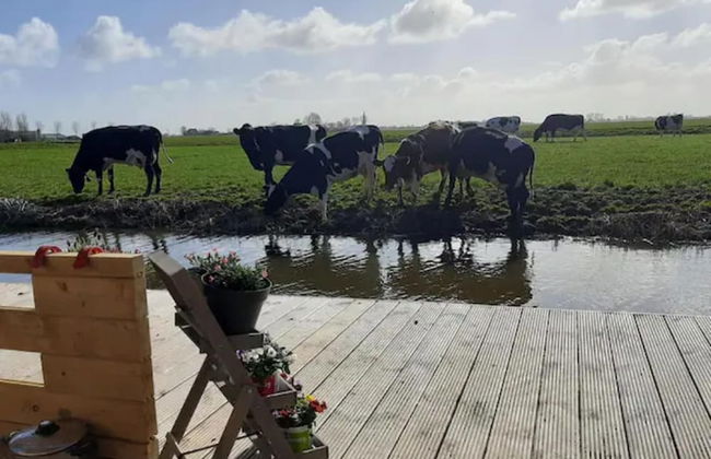Prive Jacuzzi, Cows, Dairyfarm, Relaxing, Sleeping - Foto 11
