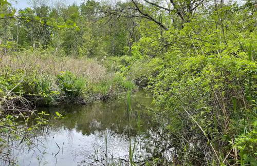 The Red Country Cottage - Foto 29