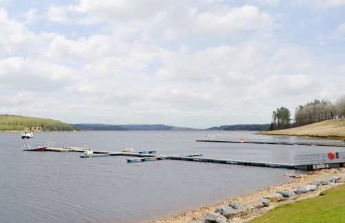 Old Kielder Castle Cottage - Foto 24