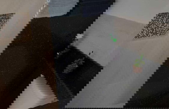 Joais do Nordeste - Foto 32