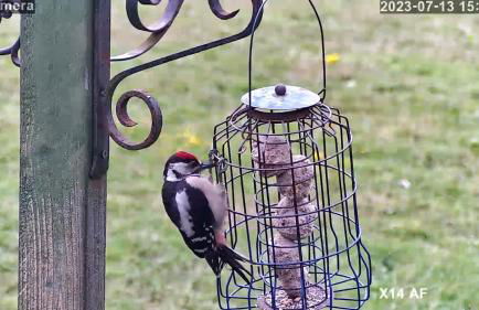 Peaceful ensuite lakeside cabin 'Tench' - Foto 22