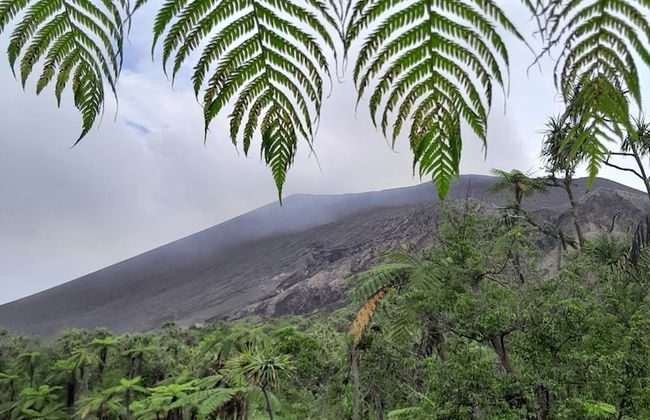 Glowing Mountain view tree house - Foto 21
