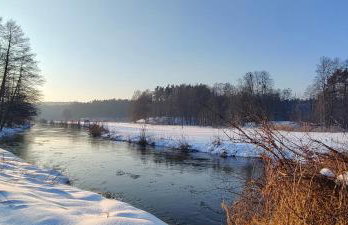 Biały Domek Nielbark - Agroturystyka - Foto 60