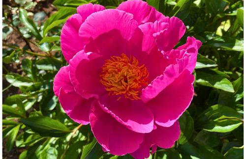 Memories Apartments Μονοκατοικία στο Καρπενήσι - Foto 38