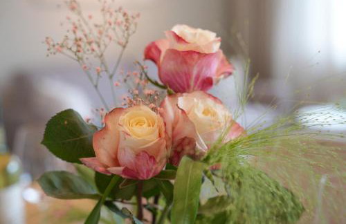 101-Freiburg - 2 Appartements - Photo 20