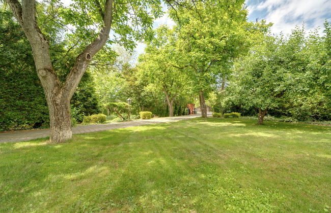 W Starym Sadzie - Foto 38