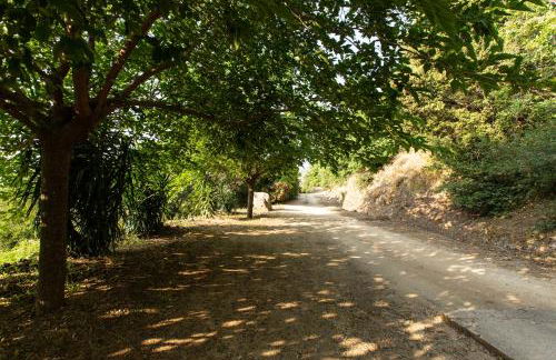 costa di sognu - Foto 15