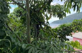 Tiny House Armação - Photo 9