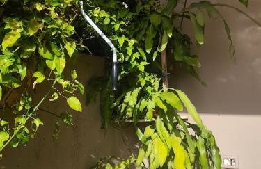 Artemis Home - Foto 24