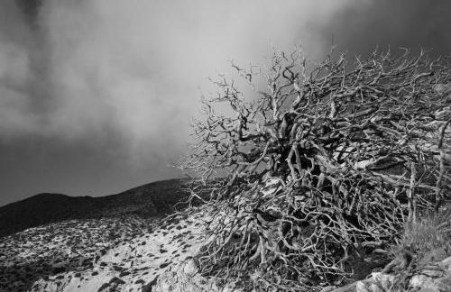 Casa Pepe La Rosa Atico - Foto 38