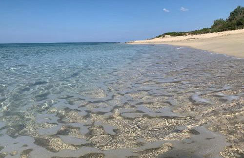 Salento Villa Cice, AC - WiFi - BBQ - attrezzatura da spiaggia - parcheggio privato sorvegliato, Due unità abitative indipendenti e giardino a due passi dal mare - Torre Ovo - Foto 61