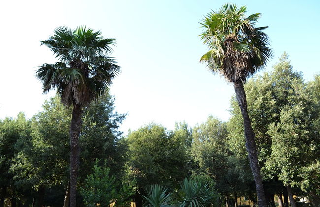 Agriturismo Villa Graziani - Photo 64