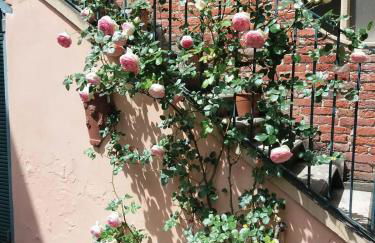 La Terrazza sul Monferrato - Foto 17