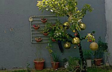 Casa de Mainha - Foto 41