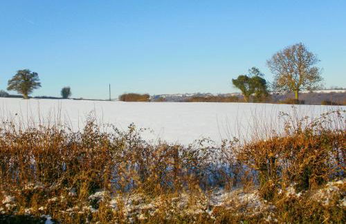 Silver Birch Lodge - Foto 20