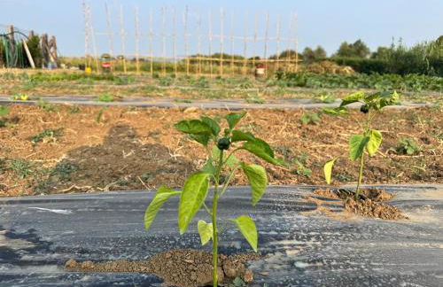 Casa il sorbo - Foto 2