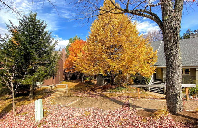 A1 Luxury Bretton Woods Ski-in Ski-out Townhome Next to Beginner ski Area Fast Wifi Keyless Entry - Photo 54