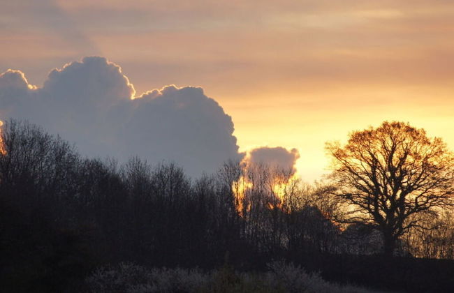 Farm at Grebiner See - Foto 7