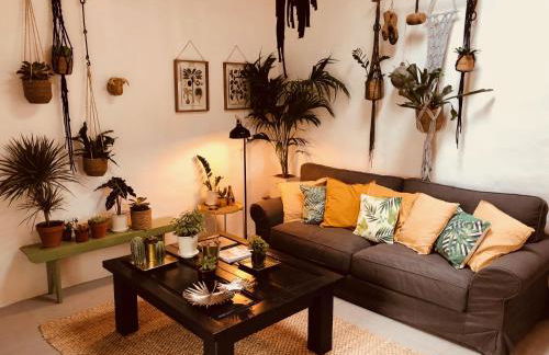 Cuarto Botánico Studio - Shared Pool - Central Island Location - 10 mins drive to Famara and La Santa - Foto 2