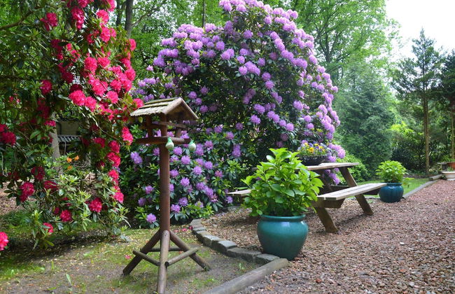 A Detached Bungalow With Outdoor Fireplace, Covered Terrace and Pond in a Forest Plot - Photo 80