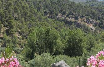 Casas Rurales Cortijo El Marqués - Foto 22