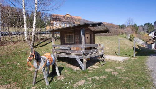 Ferienwohnung Bergahorn - Foto 5