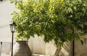 La casa del tio Luis - Foto 20